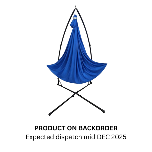 *BACKORDER* Therapy Swing Set